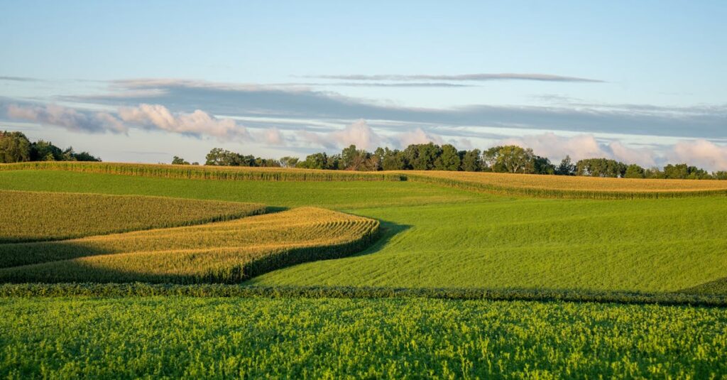 découvrez la country terrine, une délicieuse spécialité rustique à base de viande et d'épices, parfaite pour vos entrées ou apéritifs gourmands. recette authentique, saveurs du terroir garanties.