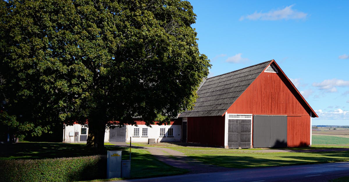 découvrez notre délicieuse terrine de campagne, préparée selon la tradition avec des ingrédients authentiques. idéale pour vos apéritifs gourmands ou en entrée, cette recette rustique ravira les amateurs de saveurs authentiques et conviviales.