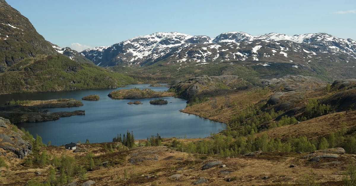 découvrez le lac de gérardmer, perle des vosges, idéal pour la baignade, les activités nautiques et les randonnées en pleine nature. profitez d’un cadre naturel exceptionnel pour des vacances inoubliables en famille ou entre amis.