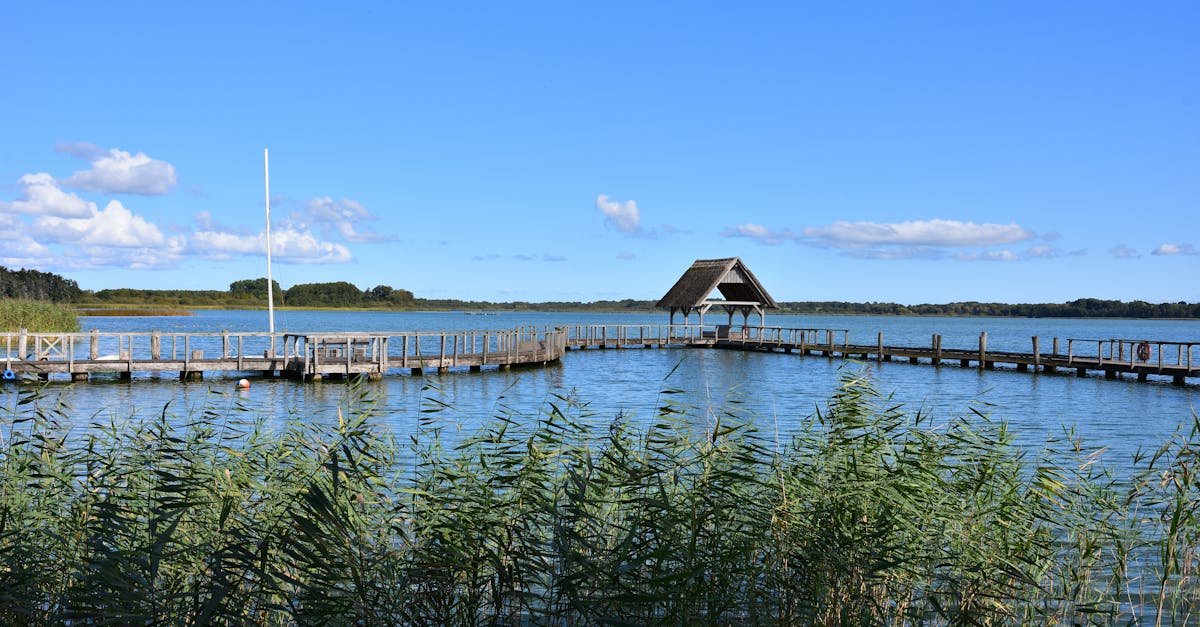 découvrez le lac de gérardmer, joyau naturel des vosges, idéal pour les activités nautiques, la randonnée et des paysages exceptionnels en toutes saisons.