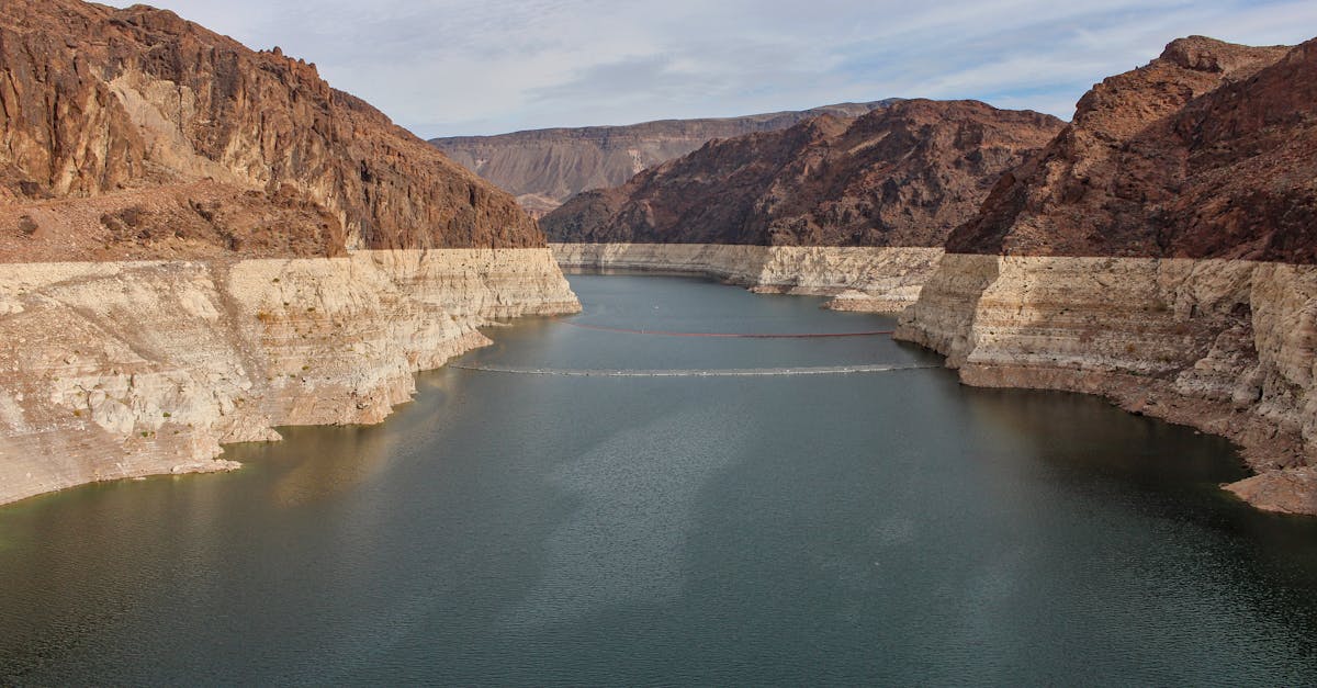 découvrez le mead, une boisson alcoolisée ancestrale à base de miel. apprenez son histoire, ses méthodes de fabrication et comment déguster cette hydromel unique.