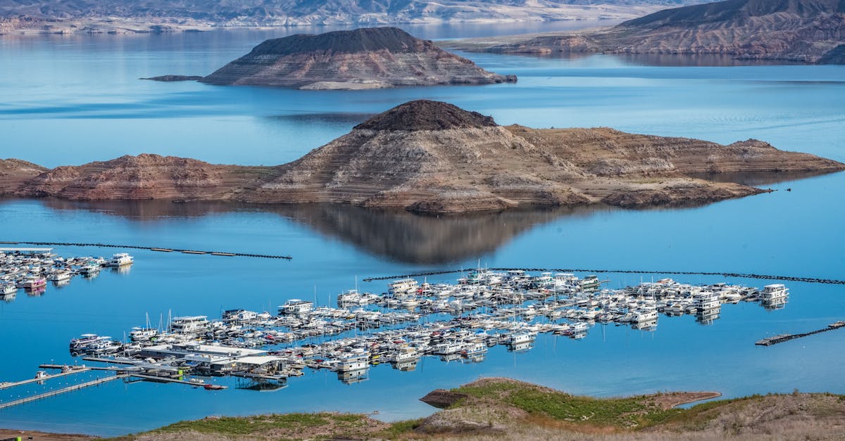 découvrez le mead, une boisson alcoolisée ancestrale à base de miel, d'eau et parfois d'épices ou de fruits. apprenez-en plus sur ses origines, son processus de fabrication et ses différentes variétés.