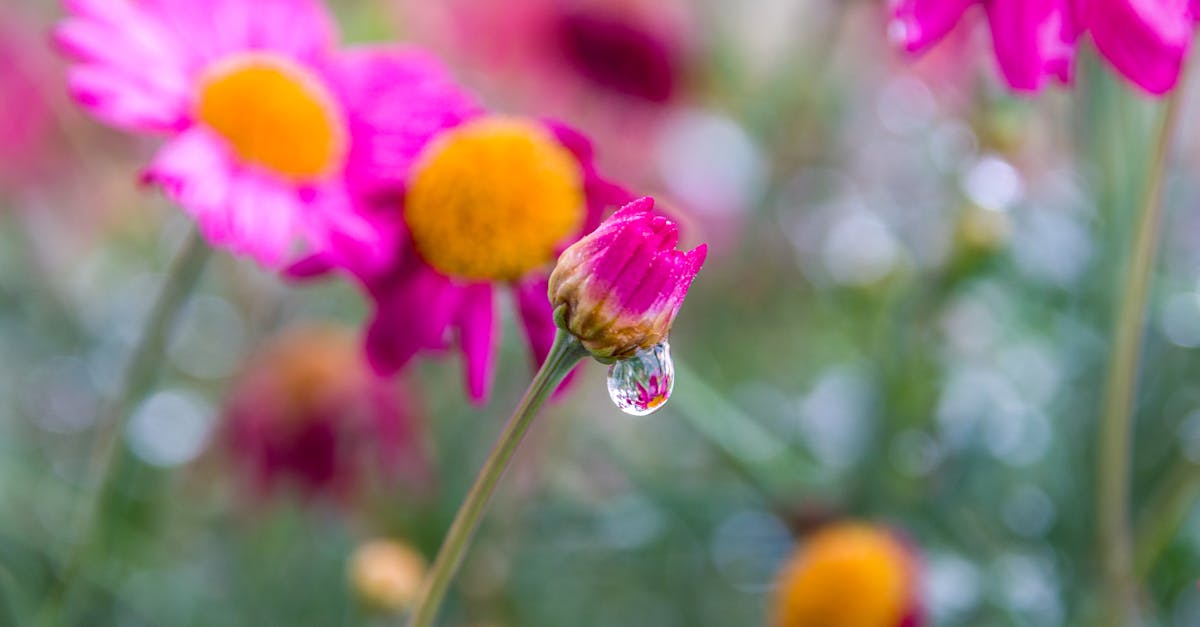 découvrez pyrgos, un charmant village grec réputé pour ses ruelles pittoresques, son histoire fascinante et ses panoramas à couper le souffle sur la mer égée. parfait pour une escapade authentique à santorin.