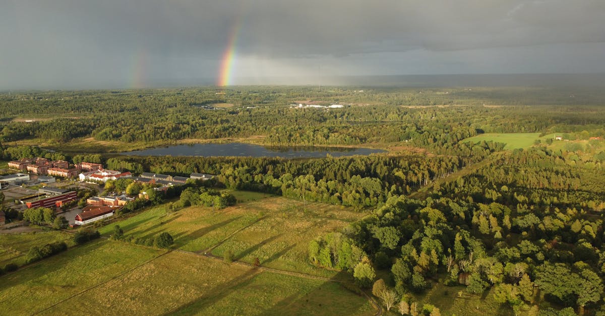 découvrez comment préparer un rainbow rice coloré et délicieux, parfait pour égayer vos repas et surprendre petits et grands. recette facile, conseils et inspirations pour un plat original et sain !