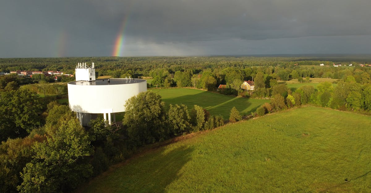découvrez la recette du rainbow rice : un riz coloré naturellement avec des légumes et épices, idéal pour des plats ludiques, sains et savoureux, parfait pour petits et grands !