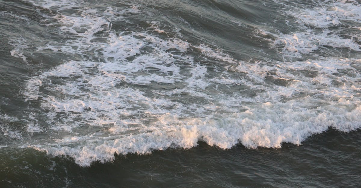 consultez les horaires des marées en temps réel pour planifier vos activités nautiques, la pêche ou vos balades en bord de mer. découvrez facilement les prévisions de marée selon votre lieu.