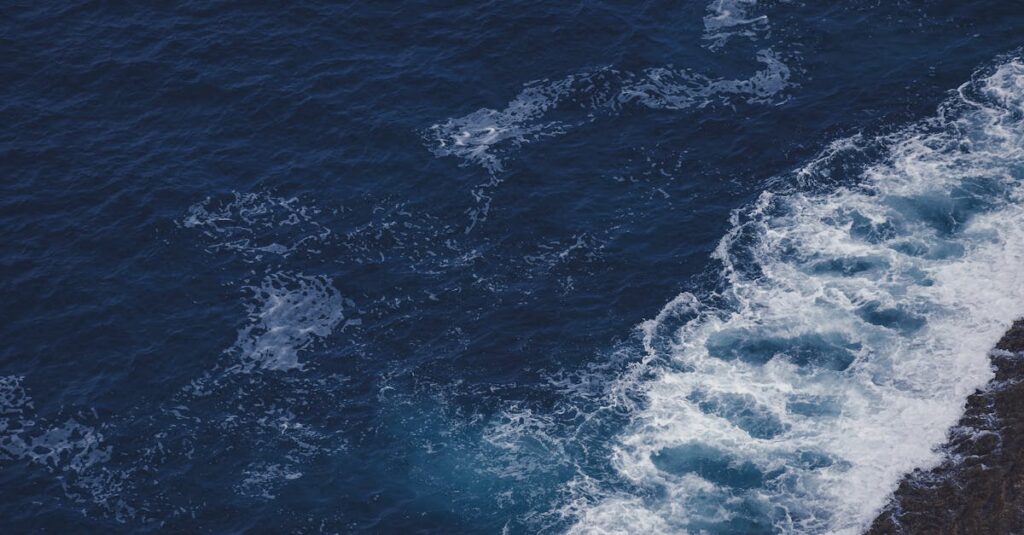 consultez les horaires des marées à jour pour planifier facilement vos activités nautiques, pêche ou promenades sur la plage. découvrez les prévisions complètes des marées dans votre région.